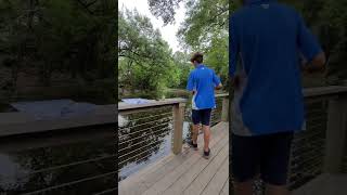 I caught a fish with a cockroach!🪳#fishing #shorts ( episode 6 )