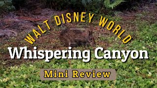 MINI REVIEW   Whispering Canyon