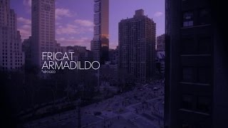 FRICAT - ARMADILDO