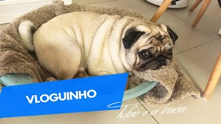 VLOGUINHO | ELE AMA A BACIA 🛀