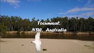 Tocumwal compressed