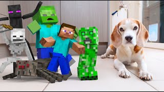 MINECRAFT ZOMBIES IN REAL LIFE ANIMATION