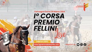 Live I° Corsa del 30 Marzo 2024 - 4 Anni - Metri 1600