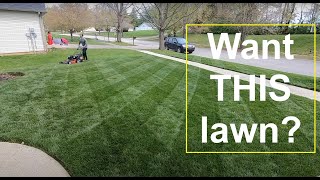 2 EASY tips for a BETTER LAWN this year