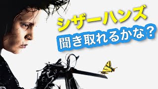 シザーハンズでリスニング｜字幕なしで映画の英語が分かる！