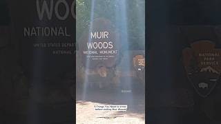 5 Essential  TIPS For Your Next Visit to MUIR WOODS NATIONAL MONUMENT! #shorts #muirwoods #hiking