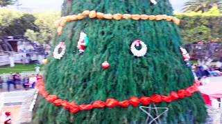 Inaguración del árbol Navideño 2018 en Santa Cruz Barillas