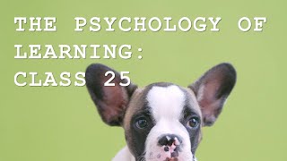 P325 – Class 25 - W15C2 Chapter 12: Biological Dispositions in Learning