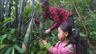 Life of a 19 Year Old Single Mother, Harvesting Bamboo Shoots In The Forest - Go To The Market Sell