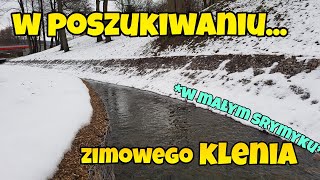 Poszukiwania ZIMOWEGO KLENIA w płytkim strumieniu! | łowienie ryb | wędkarstwo 2021