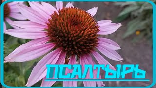 Псалом 53