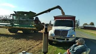 2022 unloading soybeans into truck