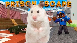 Prison maze hamster 🐹 || Minecraft