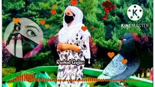 tu phoolon kolo hai bahut Soni Pharie status gogri status  song new 2022 video by Tariq the vloge