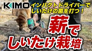 薪にしいたけの菌を打つ【KIMO】インパクトドライバー使用！