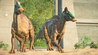 ALL SMALL & MEDIUM CARNIVORES & HERBIVORES SPECIES | Jurassic World Evolution 2