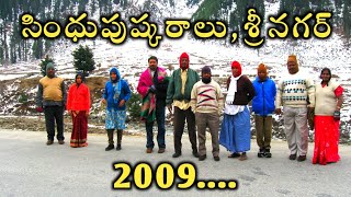 ||2009 లో జరిగిన సింధుపుష్కరాలు||షాదీపురా,శ్రీనగర్ -కాశ్మీర్