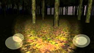 SlenderMan's Forest gameplay!