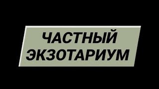 ПОЧЕМУ НА ЭТОМ КАНАЛЕ ОПЯТЬ БУДУТ ВИДЕО