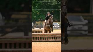 A fantastic horse show weekend for Vino (First Impression)#horse #equestrian