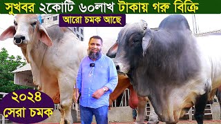 সুখবর ২কোটি ৬০লাখ টাকায় গরু বিক্রি আরো চমক আছে cow farm