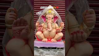 Cutest Bappa🫶♥️ #2k24 #maharashtra #ganesh #ganpati #bappa #ytshorts_ #viralshorts