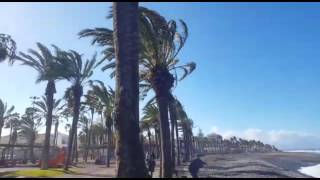 Video movimentato di Jerry a Playa de las Américas