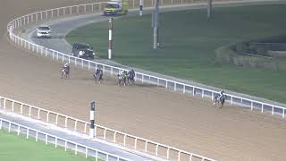 MEYDAN TRIALS 131124 TRIAL 6