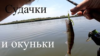 Джиг спиннинг,#микроджиг в заброд, на арендованном #водоёме,#степная #речка.31,05,22,г