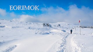 Eorimok Trail in Mount Halla, Jeju 어리목 겨울 산행