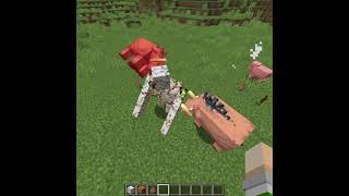 Iron Golem Vs 5 Hoglins In Minecraft...