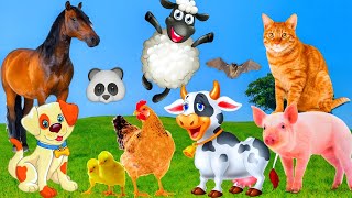 Soothing Animal Videos and Moments - Dairy Cow, Sheep, Squirrel, Flying Bat - Enjoy Music Relax