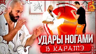 Техника базовых ударов ногами в карате. Школа карате Максима Дедика