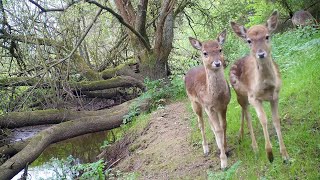 Down by the river (April and May)