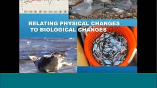 Science Teachers' Long Island Sound Webinar