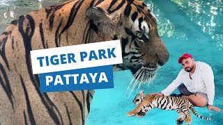 We didn’t expect this at Tiger Park Pattaya 😱😳😰 | Ep 4 | ROME by Iranis