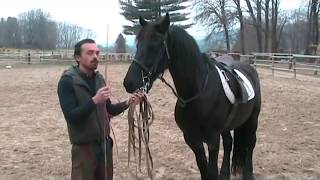 Francesco Vedani Equitazione - Tranquillizzare un cavallo impaurito 1 parte