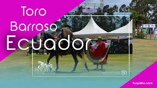 Toro Barroso - Requintista Marcelo Sanches #caballosbailaores  #torobarroso #ecuadorcaballo