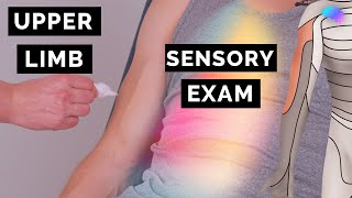 Sensory Examination of the Upper Limbs | OSCE Clip | UKMLA | CPSA | PLAB 2