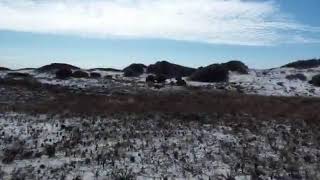 Happy New Year 1/1/2020 Hiking trail at Grayton Beach State Park