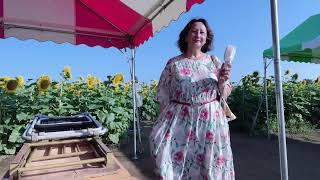 Sunflower Festival  22July2024 #asmr  #outdoorwalk #Nogi Machi , Japan