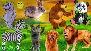 Cute Little Farm Animal Sounds - Otter, Horse, Pig, Dog, Cat, Giraffe, Zebra, Cow - Animal Videos