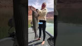 Biggest fish from each state part 4