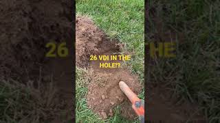 CHECK YOUR HOLE! #shorts #metaldetecting