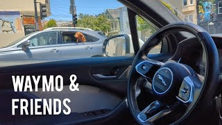 Waymo moments in San Francisco (with cats, dogs, squirrels, and a spider)