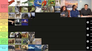 WHAT ANIMALS COULD YOU FIGHT IN A TIER LIST!