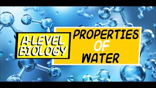 A-Level Biology: Properties of Water