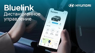 Удаленное управление автомобилем с помощью Blue Link