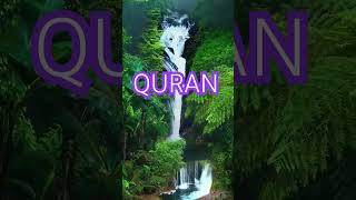 Surah Anam Ayat No 84-88 urdu translation #shorts#reels#viral #islamic#video