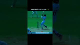 Joe Root reverse scoop #cricket #cricketplayer